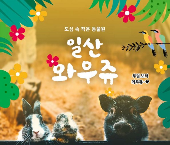 쿠팡 모바일 [일산] 실내동물원 와우쥬