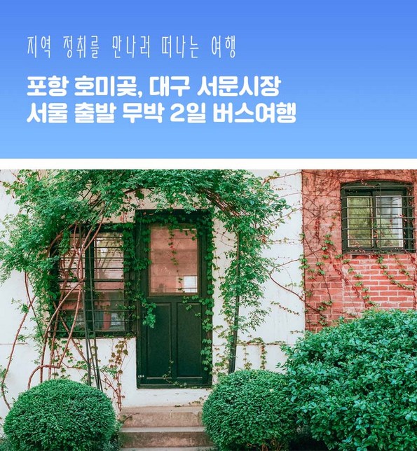 쿠팡 모바일 [출발확정/경상] 포항 호미곶 해돋이&대구 서문시장 무박 버스여행
